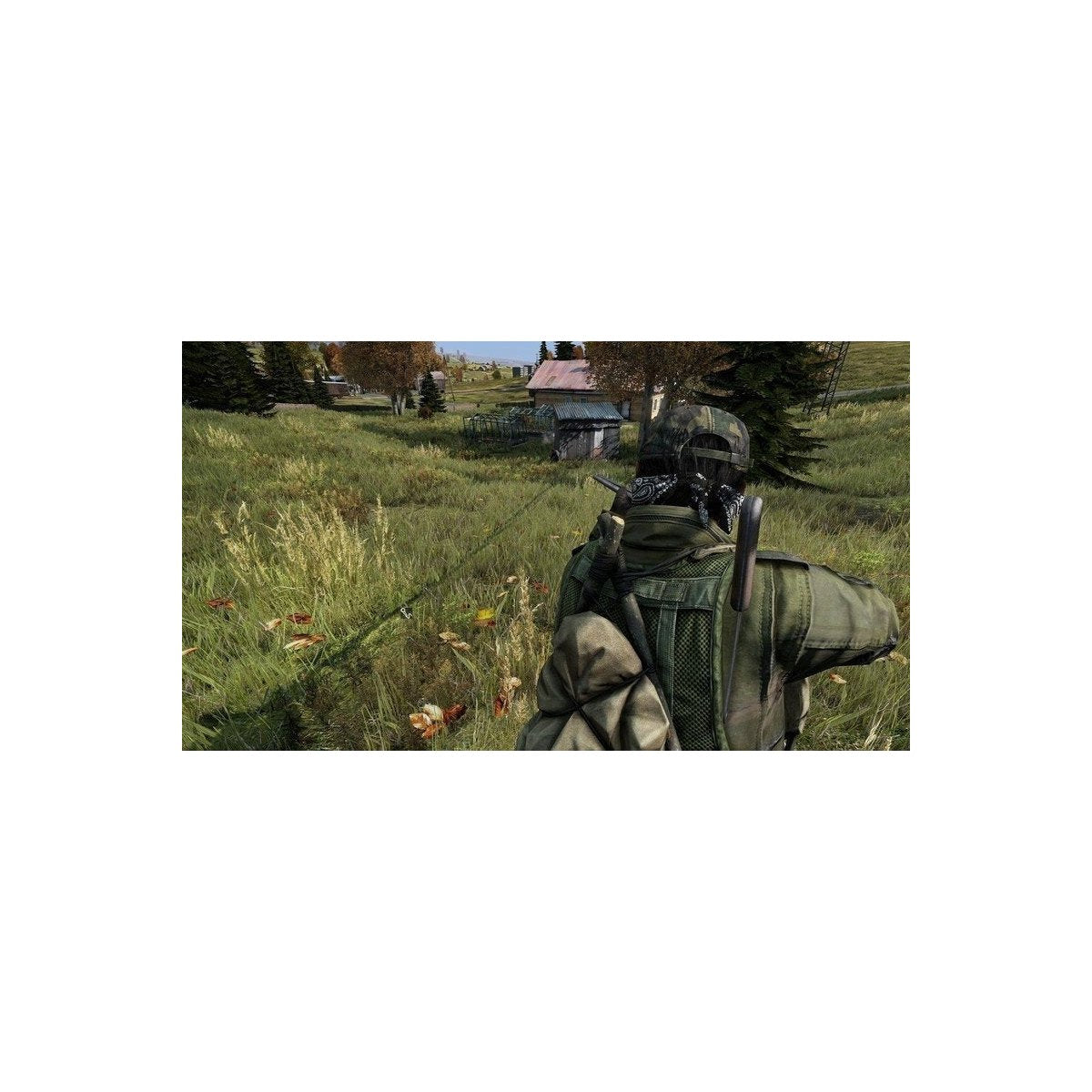 DayZ - PS4 - PL