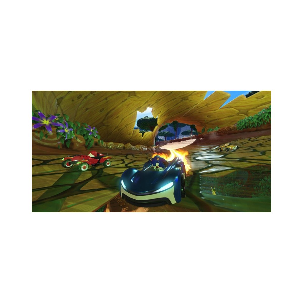 Sonic Team Racing - PS4 - PL
