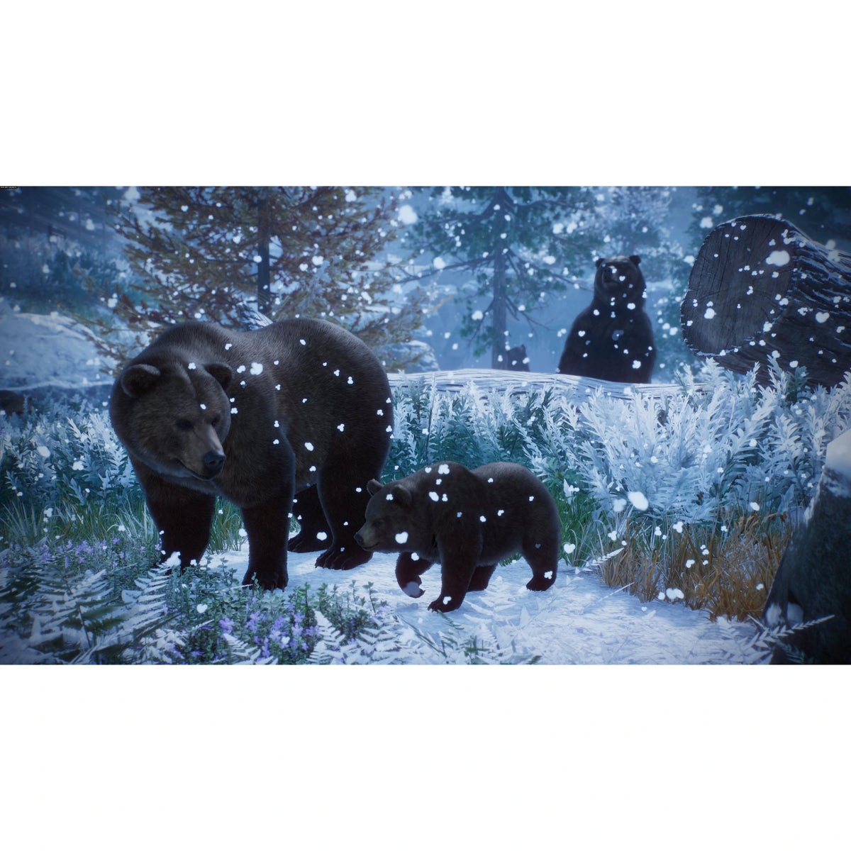 Planet Zoo: Console Edition - PS5 - PL - materiał produktowy 9