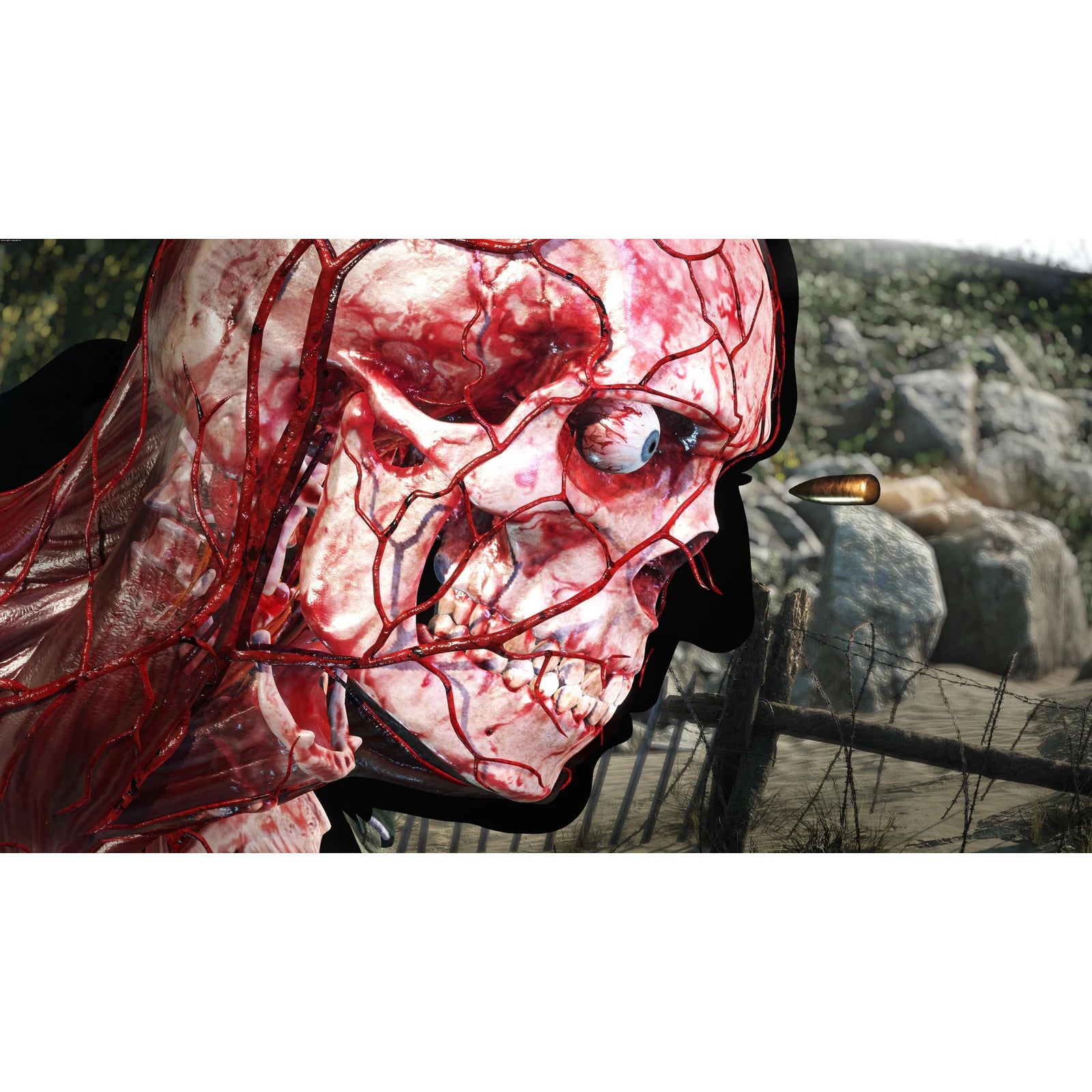 Sniper Elite 5 - scena z gry