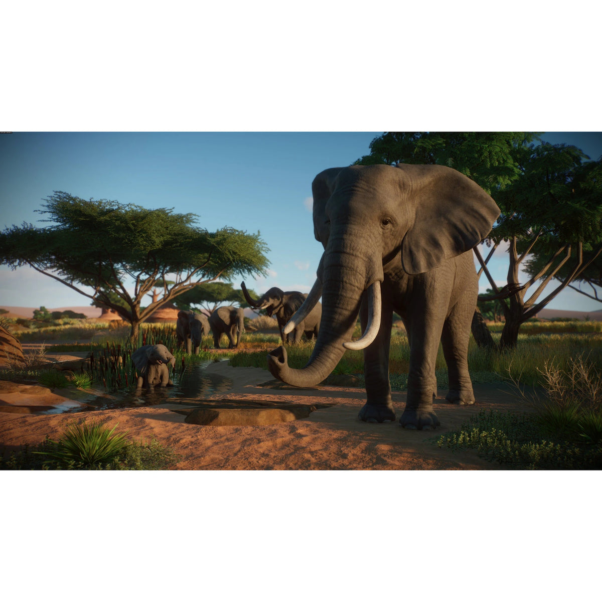 Planet Zoo: Console Edition - PS5 - PL - materiał produktowy 8
