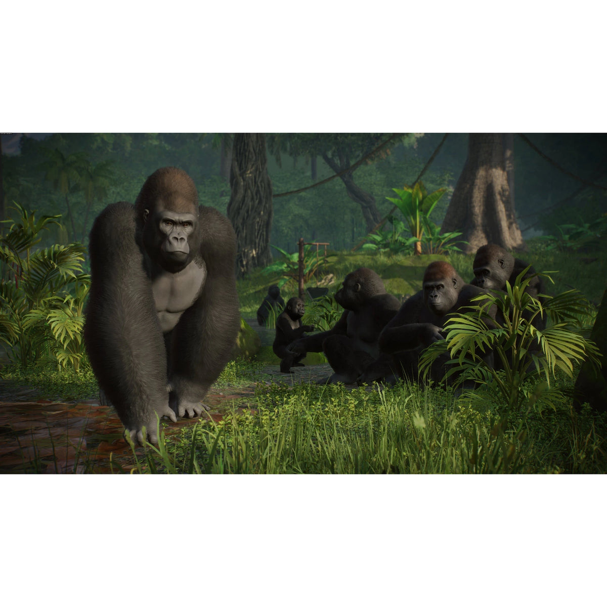 Planet Zoo: Console Edition - PS5 - PL - materiał produktowy 10